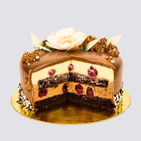Tort Duo Mousse 2